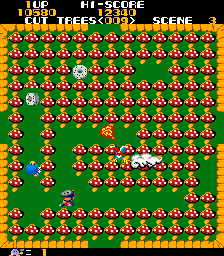 beware the forest mushrooms